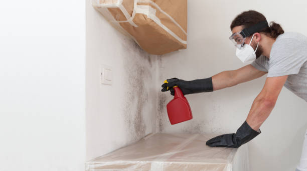 Professional Mold Remediation technician working in Burnham, PA
