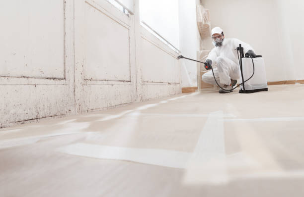 24/7 Emergency Mold Remediation experts in Burnham, PA